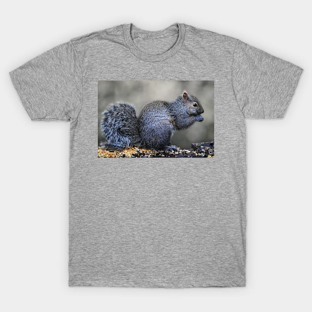 Squirrel ~ after the rain T-Shirt by LaurieMinor